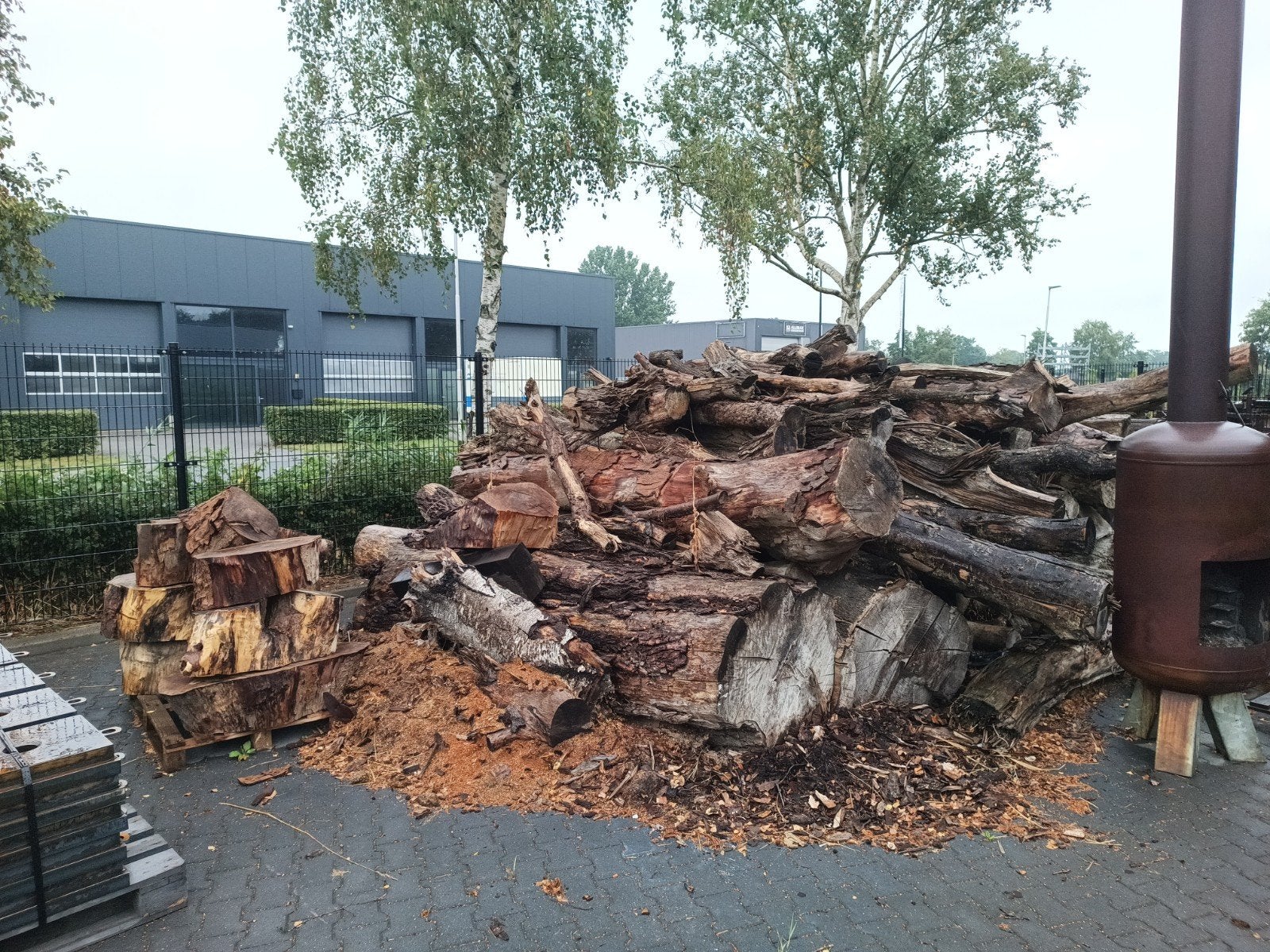 brandhout Grote partij diverse houtsoorten, stammen en blokk, 6 m³ of meer, Ophalen of Verzenden, Overige houtsoorten, Blokken