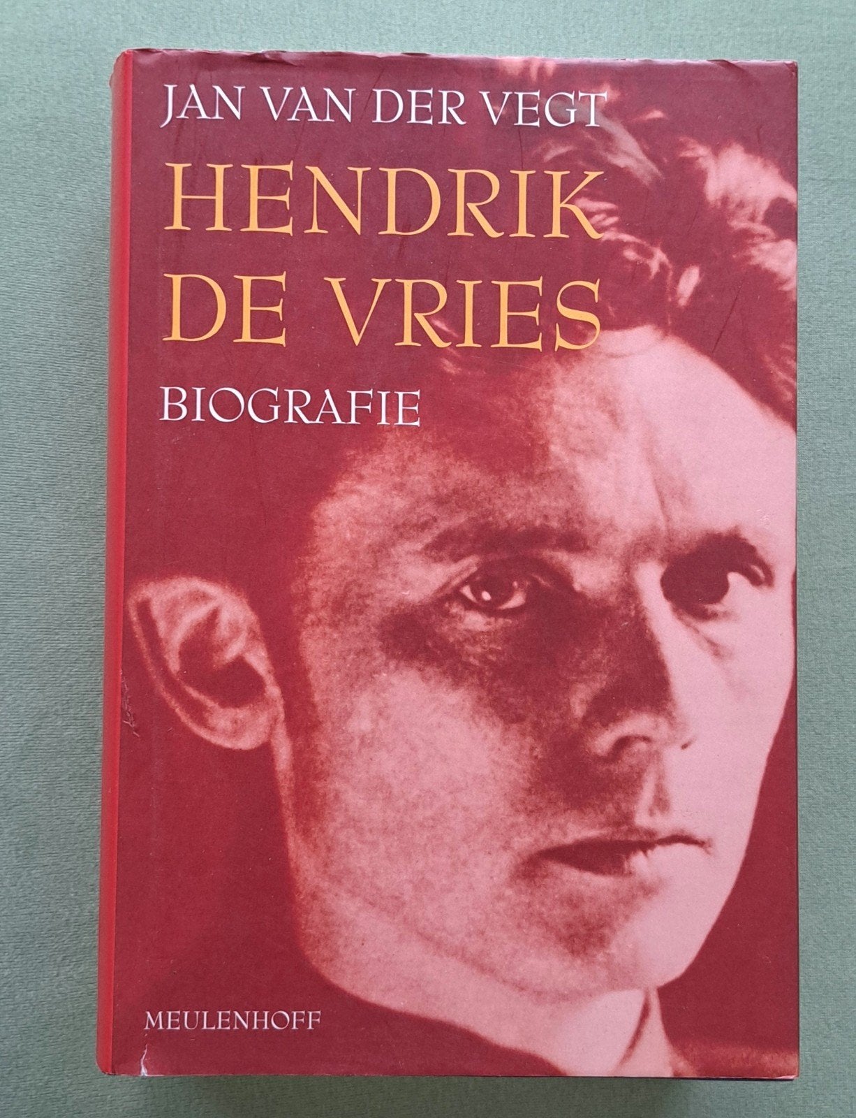 Hendrik De Vries - dichter & beeldend kunstenaar 1896-1989, Kunst en Cultuur, Nieuw, Ophalen of Verzenden, Jan van der Vegt