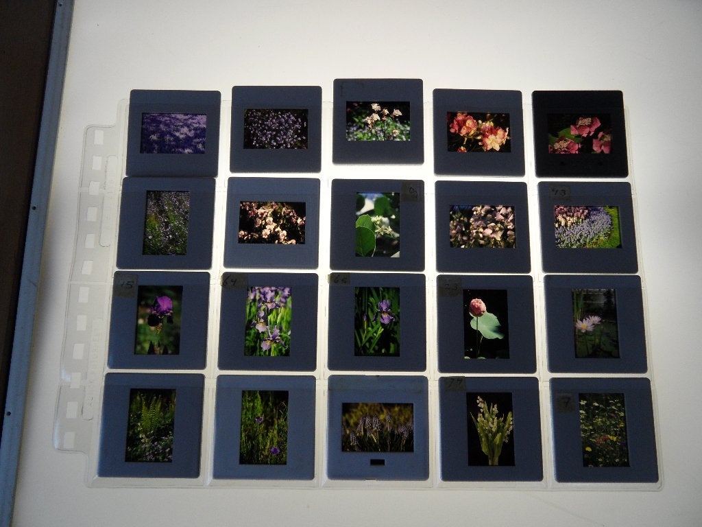 bloemen  20x  dia  in beschermhoesjes  1987?, Natuur, Verzenden, 1980 tot heden, Foto