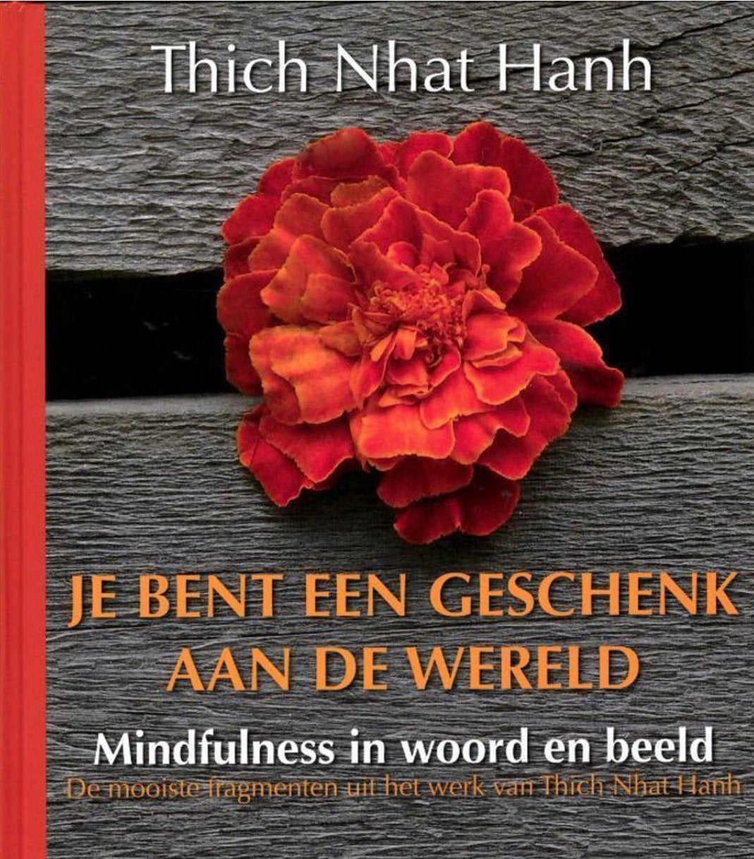 Thich Nhat Hanh - je bent een geschenk aan de wereld ZGAN, Boeken, Esoterie en Spiritualiteit, Ophalen of Verzenden, Zo goed als nieuw