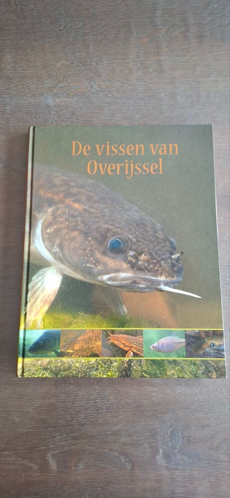 Nieuw boek: de vissen van Overijssel, Boeken, Nieuw, Ophalen of Verzenden, M.E. Schipbouwer, Overige onderwerpen