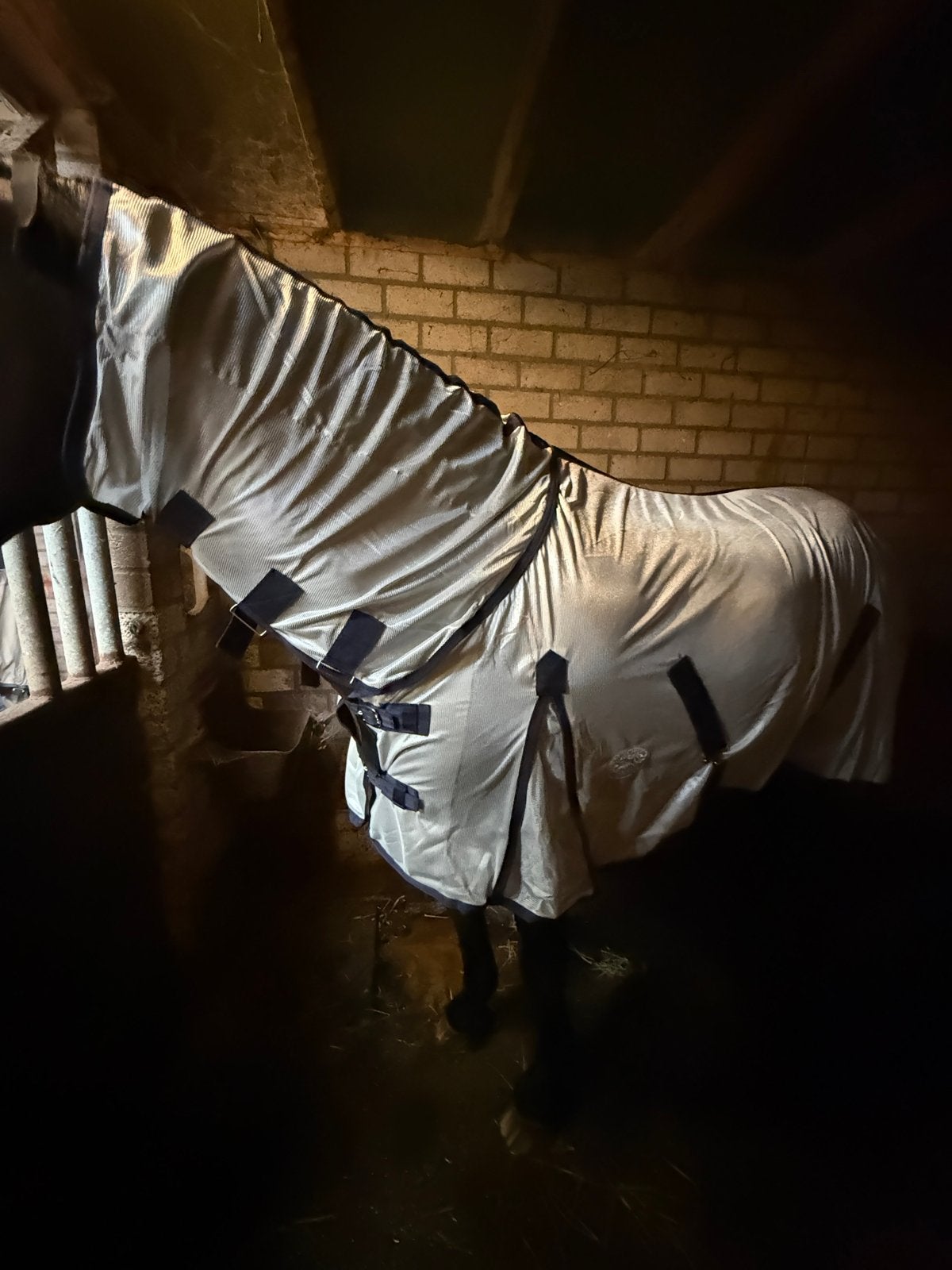 Vliegendeken met hals maat 175, Dieren en Toebehoren, Paarden en Pony's | Dekens en Dekjes, Ophalen of Verzenden, Nieuw