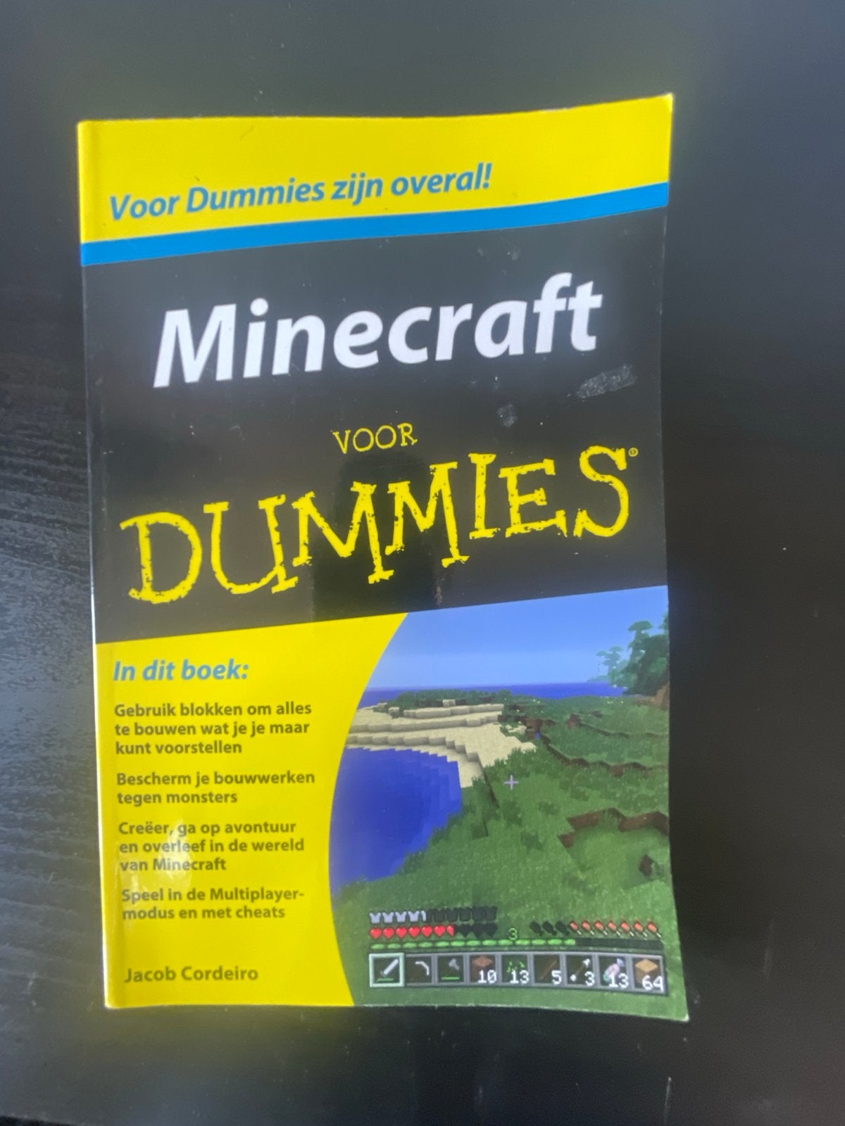 Minecraft voor Dummies - Leer de wereld van Minecraft kennen, Ophalen, Nieuw, Overige onderwerpen