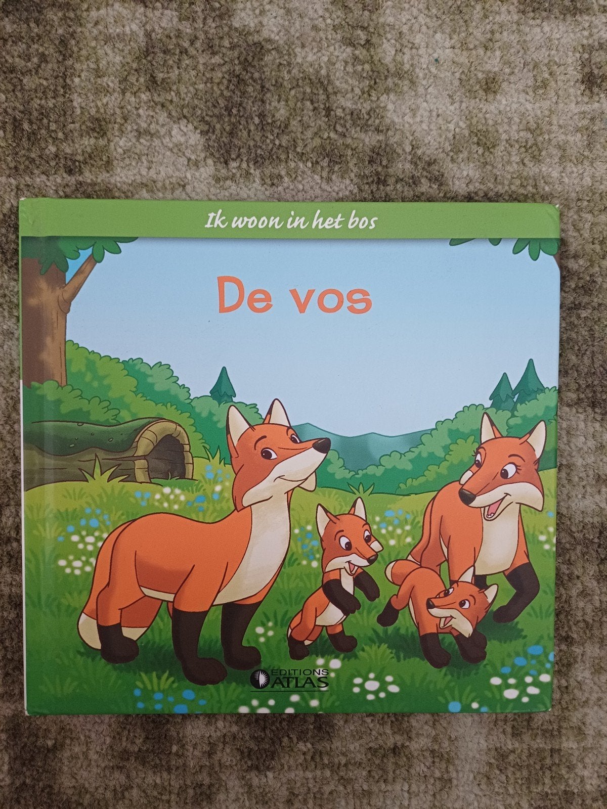 De Vos - Ik woon in het bos - Prentenboek, Boeken, Ophalen of Verzenden, Zo goed als nieuw, Feryal Kanbay en Stephan Gürtler, 2 tot 3 jaar
