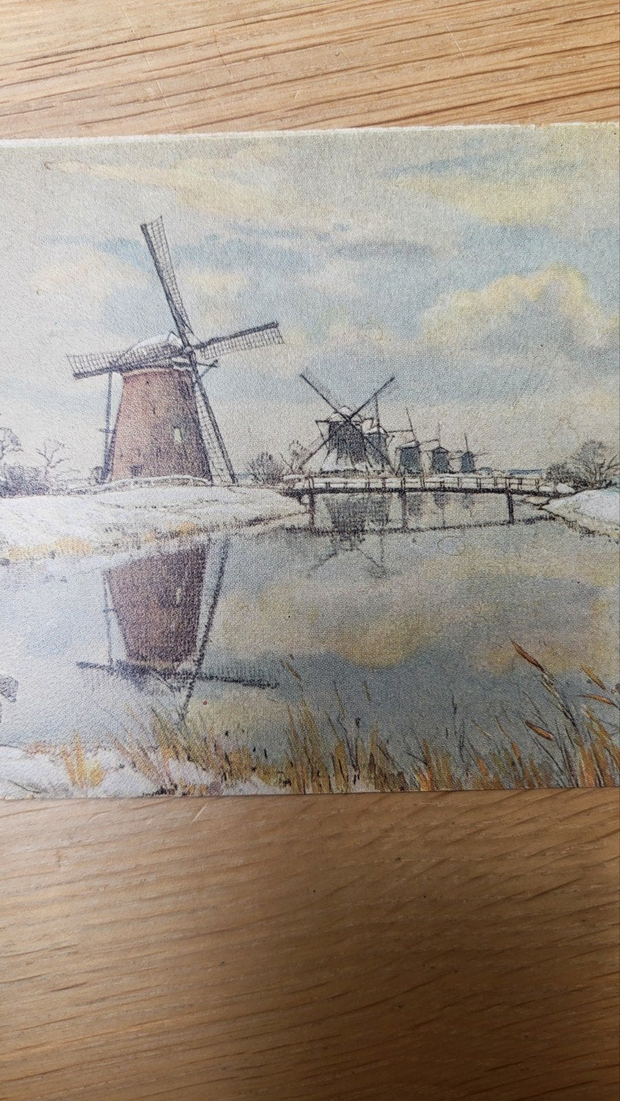 Oude ansichtkaart Molengroep bij Elishout (Alblasserwaard), Ophalen of Verzenden, Voor 1920, Ongelopen, Zuid-Holland