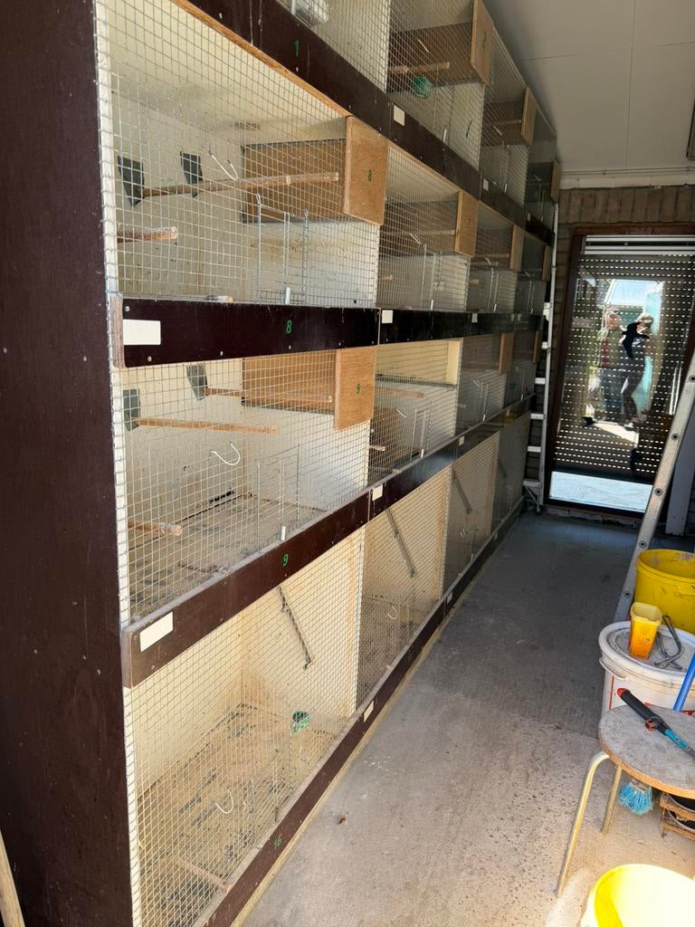 Vogelhokken, Ophalen, Zo goed als nieuw, Metaal, Volière