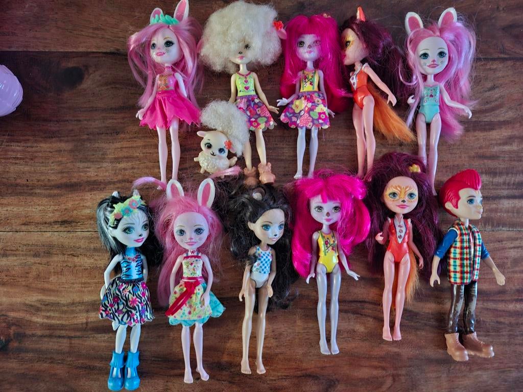 Enchantimals poppetjes, Ophalen of Verzenden, Gebruikt, Overige typen