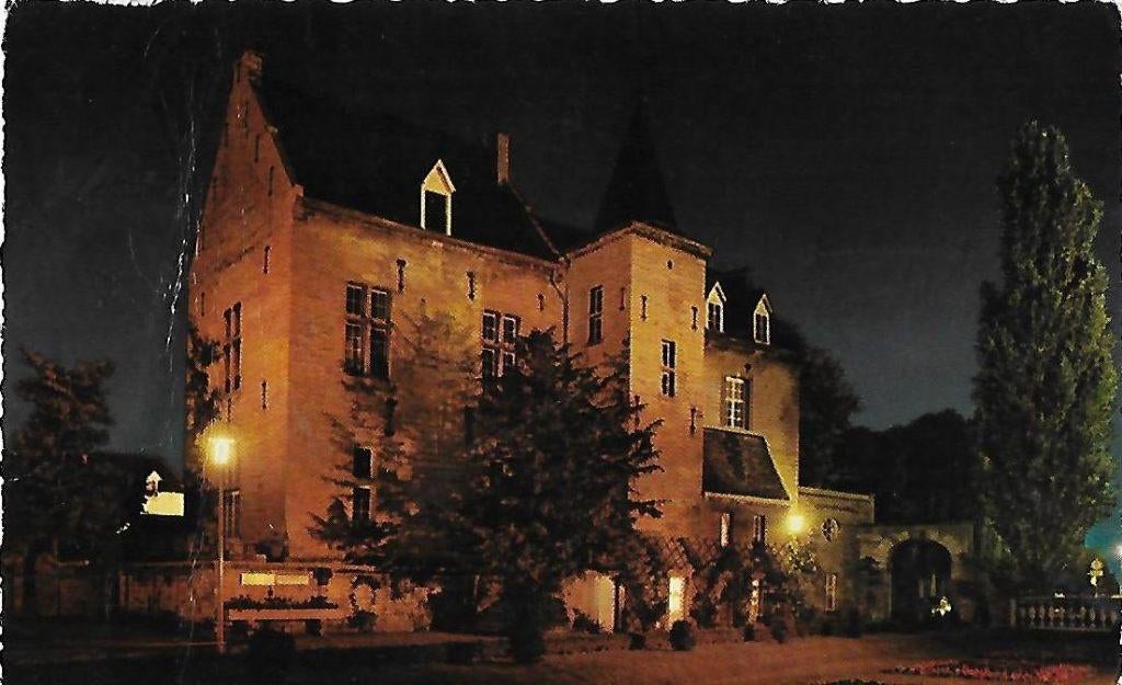Sus609 oude ansichtkaart kasteel den halder valkenburg, Verzamelen, Ophalen of Verzenden, 1960 tot 1980, Gelopen, Limburg