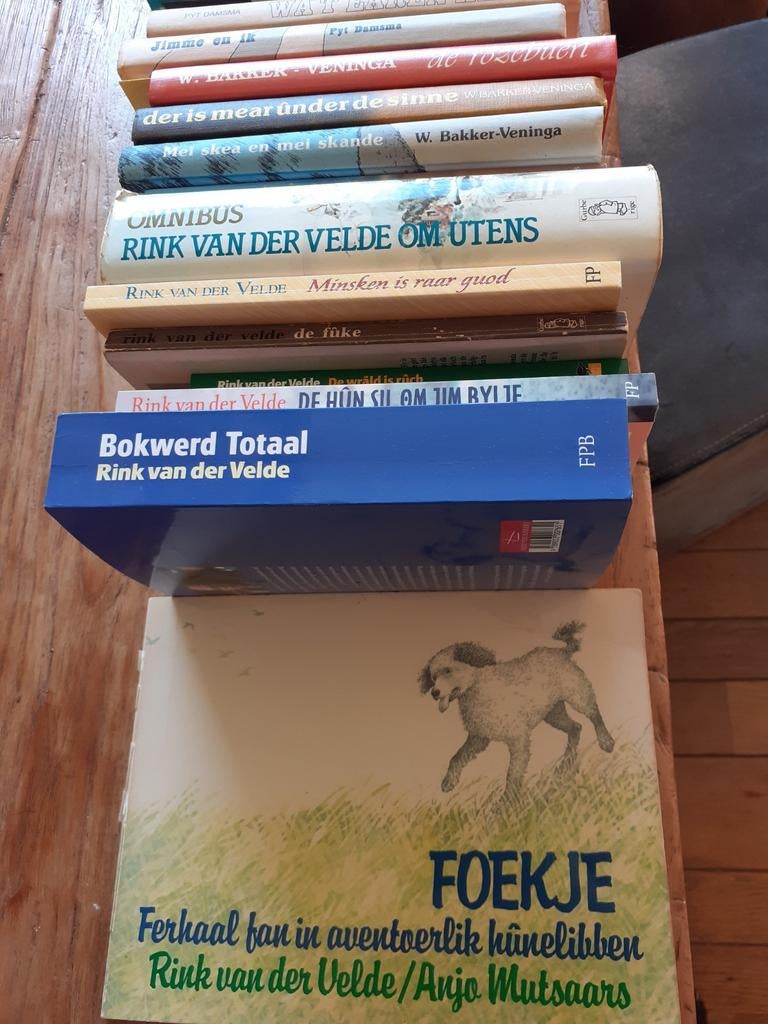 Friese boeken, fryske boeken, Boeken, Ophalen of Verzenden, Zo goed als nieuw