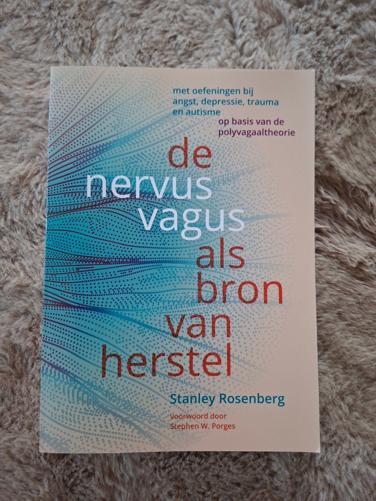 De nervus vagus als bron van herstel., Boeken, Ophalen of Verzenden, Zo goed als nieuw, Stanley Rosenberg