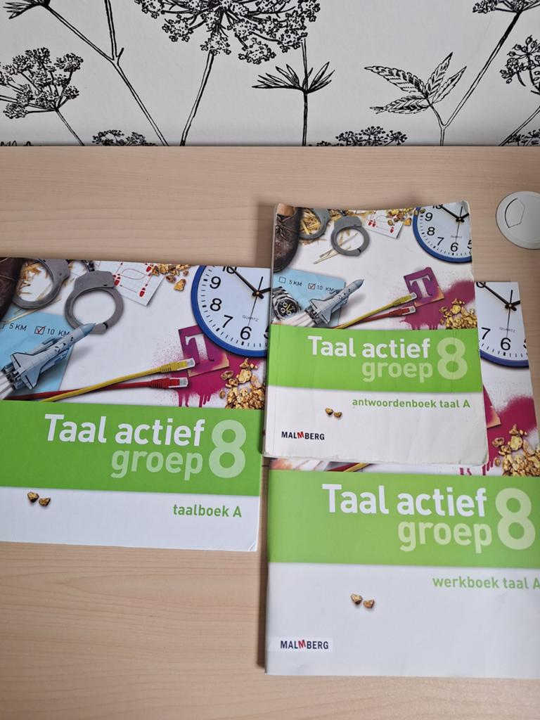 Taal actief groep 8, Ophalen of Verzenden, Nieuw, Overige niveaus, Nederlands