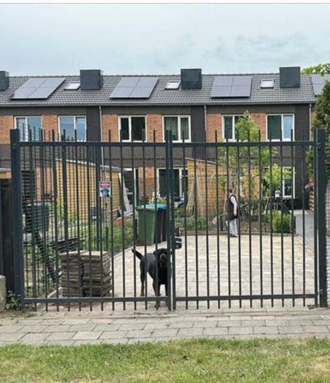 Grote poort, Ophalen of Verzenden, Overige typen