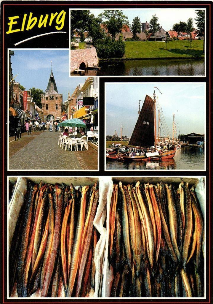 Elburg - 4 afb o.a. paling - 1995 gelopen, Ophalen of Verzenden, Voor 1920, Gelopen, Gelderland