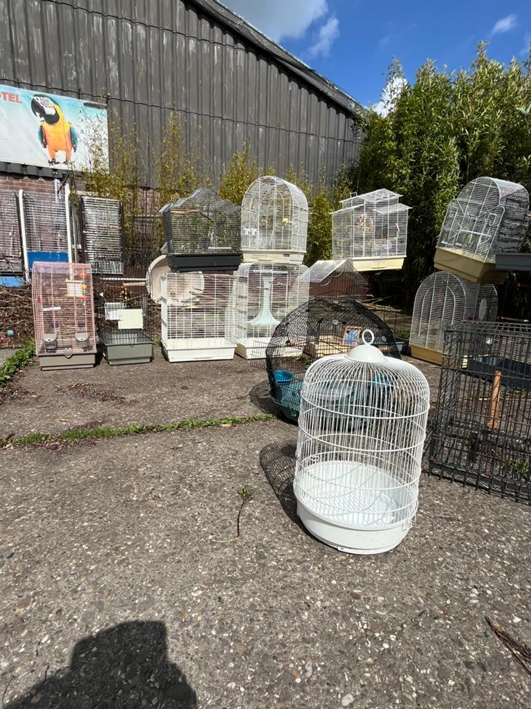 Kooien, Dieren en Toebehoren, Ophalen of Verzenden, Hout, Vogelkooi