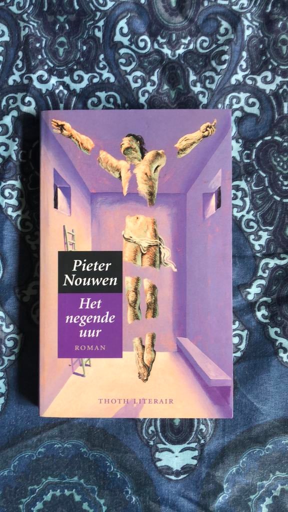 Pieter Nouwen - Het negende uur, Boeken, Ophalen of Verzenden, Zo goed als nieuw, P. Nouwen