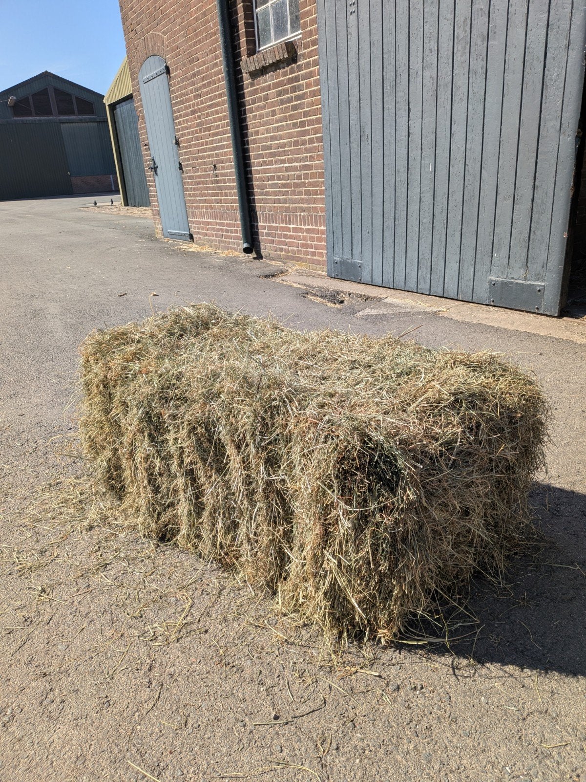 Kleine balen hooi, Dieren en Toebehoren, Dierenvoeding, Ophalen