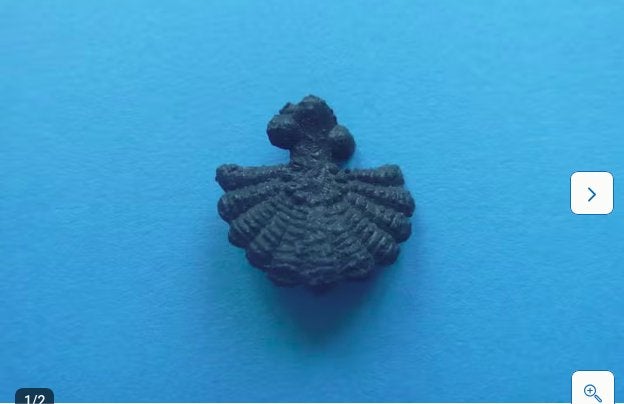 Bodemvondst. pelgrimsinsigne. pelgrim insigne. Jacobsschelp, Antiek en Kunst, Antiek | Tin, Ophalen of Verzenden