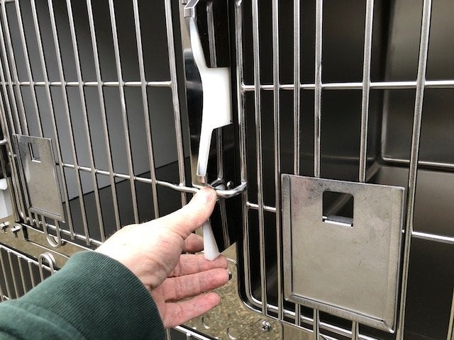 Hospitalisatiekooien, opnamekooien, honden en kattenkooien, Niet ingevuld, Niet ingevuld, Nieuw, Ophalen of Verzenden
