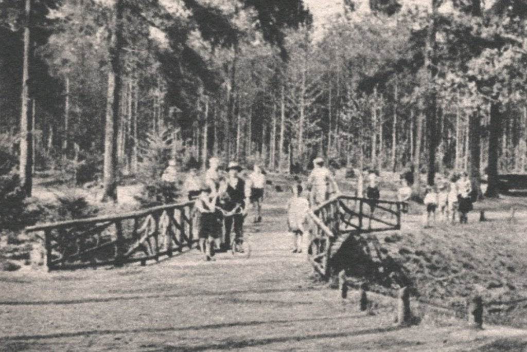 44086 Zeist Bruggetje in het bosch Nette kaart Onbeschreven, Ophalen of Verzenden, 1920 tot 1940, Ongelopen, Utrecht