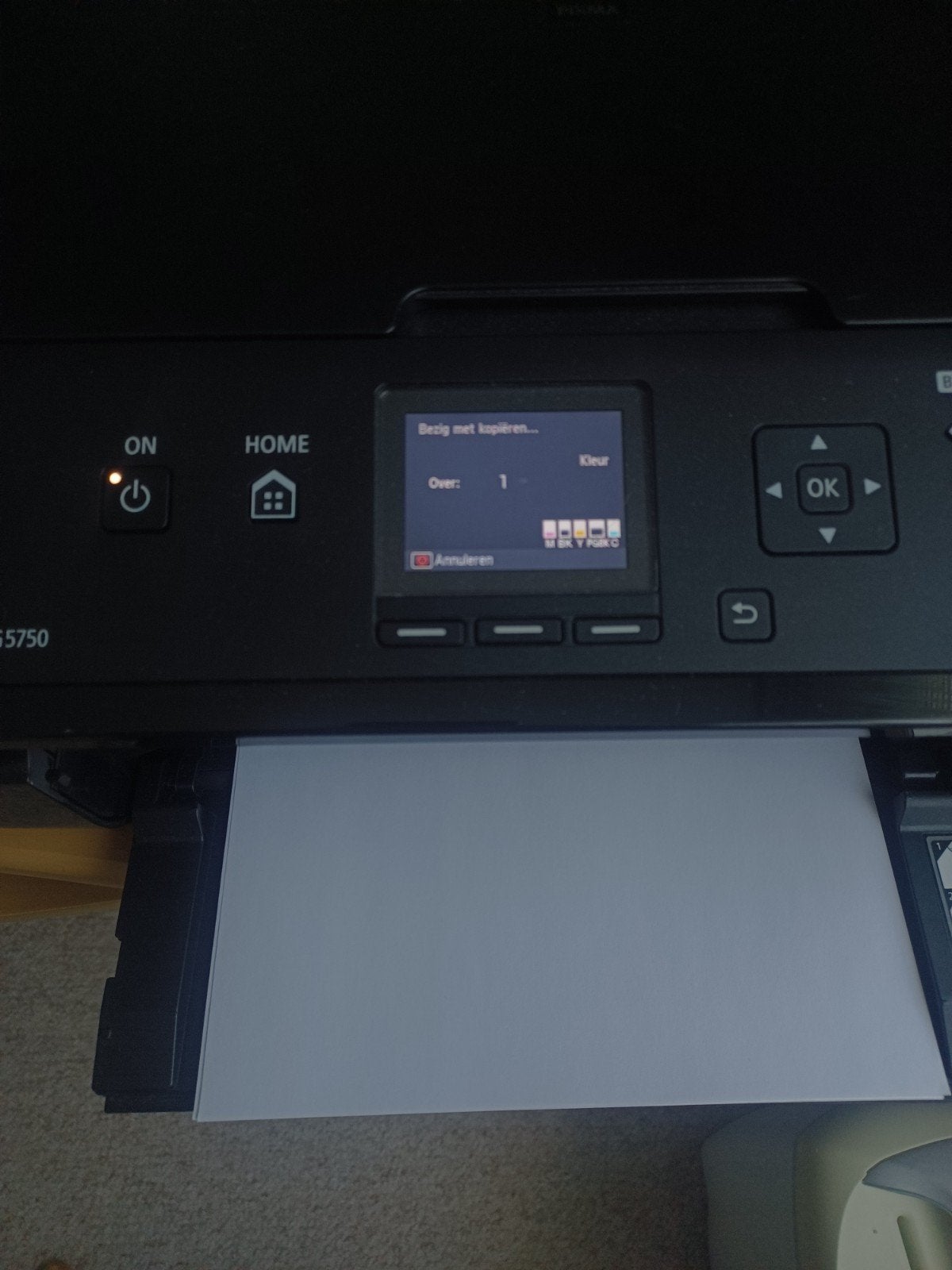 Canon Pixma MG5750 All-in-One Printer - Zo goed als nieuw, Computers en Software, Printers, Kleur printen, Canon, Inkjetprinter