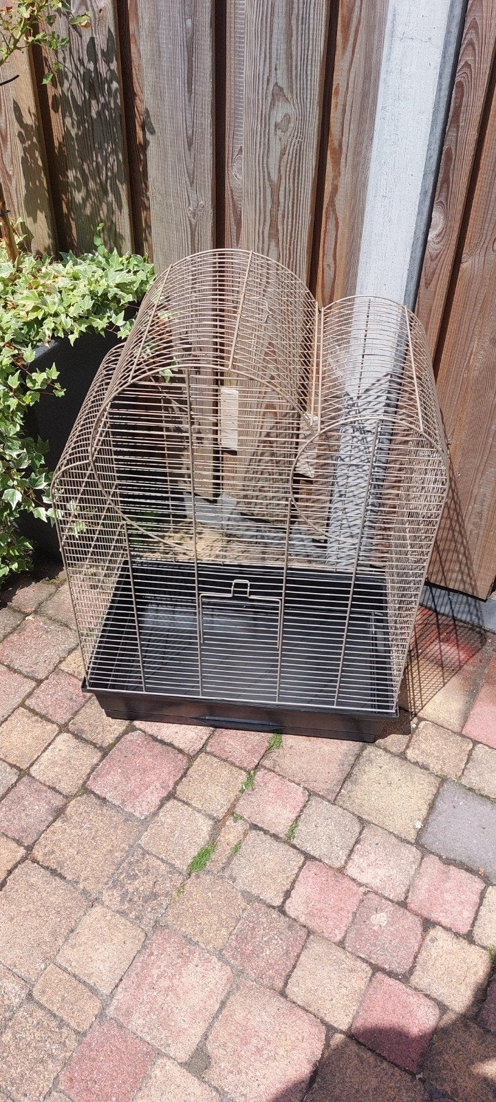 Vogel kooi, Dieren en Toebehoren, Vogels | Hokken en Kooien, Ophalen, Metaal, Vogelkooi