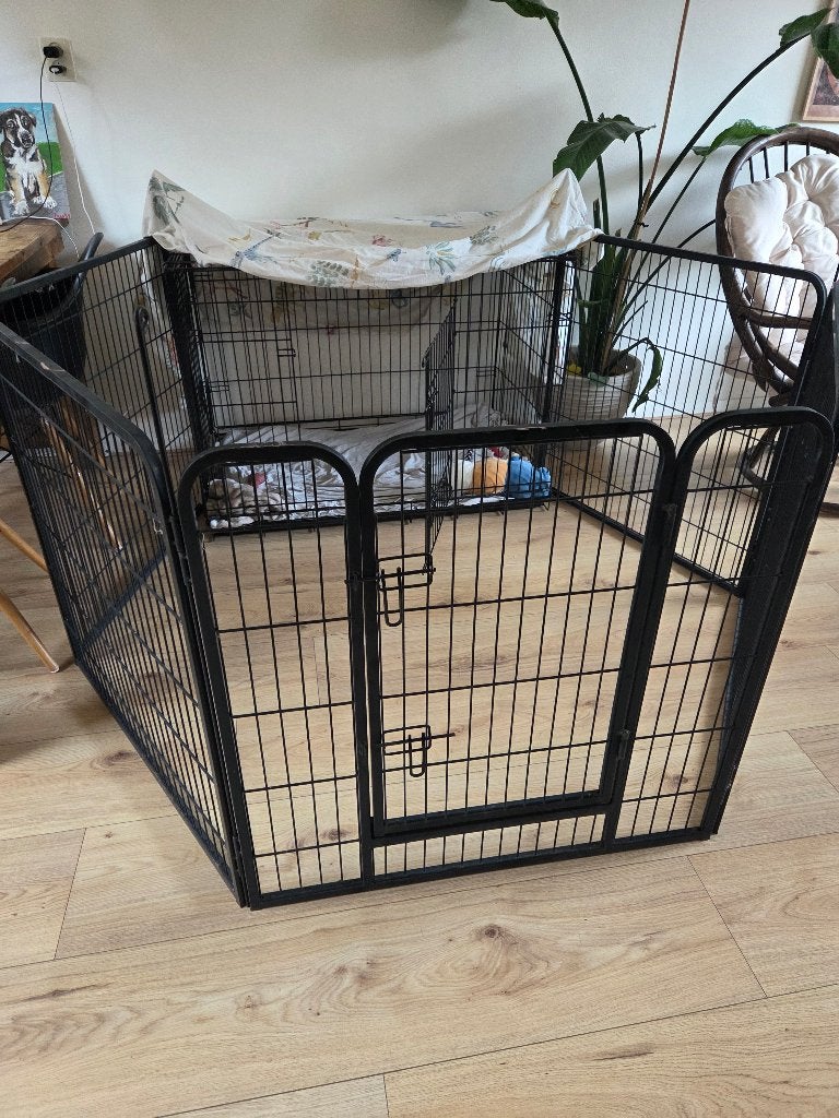 Honden/puppy ren, Dieren en Toebehoren, Ophalen, Gebruikt