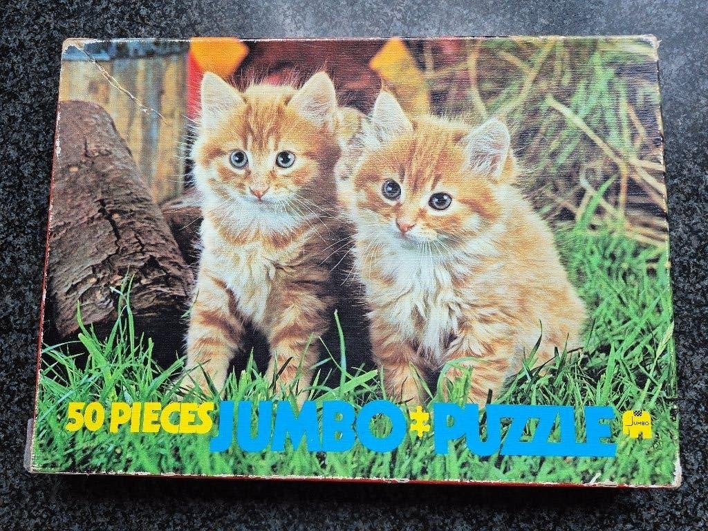 puzzel poes, Kinderen en Baby's, Speelgoed | Kinderpuzzels, Ophalen of Verzenden, 10 tot 50 stukjes, Zo goed als nieuw
