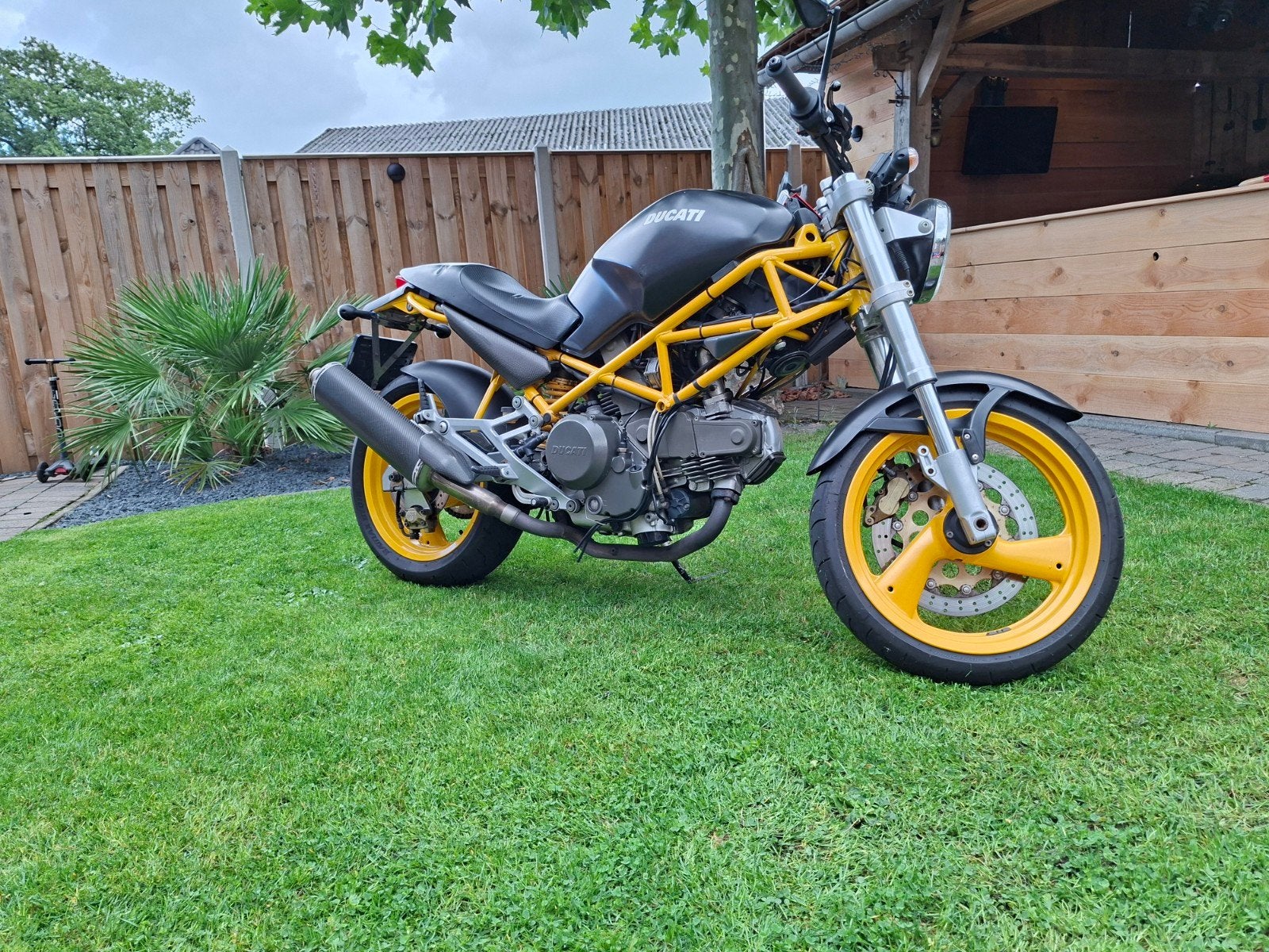 Ducati Monster 600cc, Sportuitlaat, Gebruikt, Particulier, Naked bike