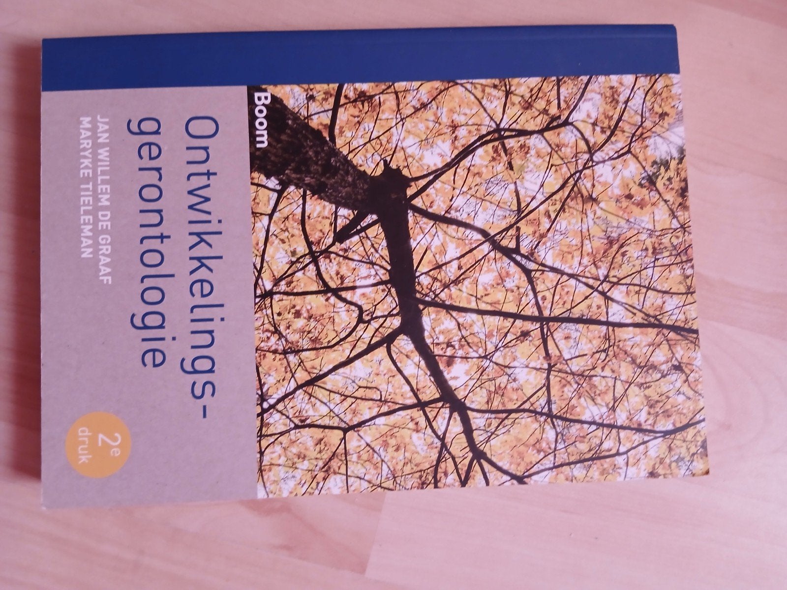 Ontwikkelingsgerontologie - Zo goed als nieuw, Ophalen of Verzenden, Zo goed als nieuw