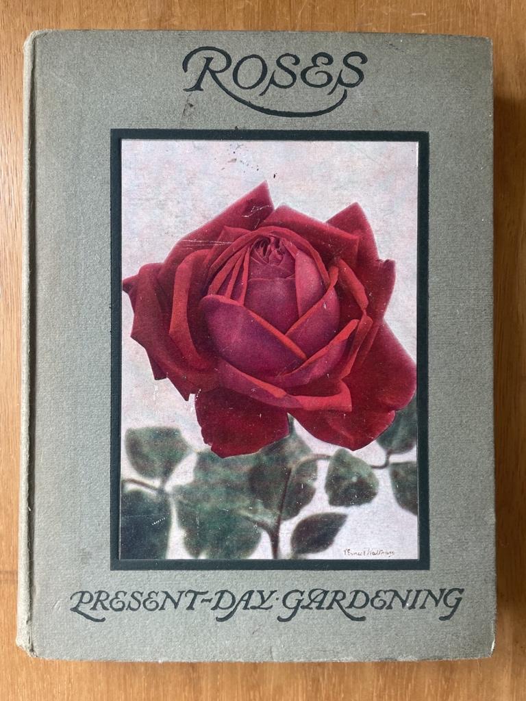 Roses Present-Day Gardening - H.R. Darlington, Antiek en Kunst, Antiek | Boeken en Bijbels, Verzenden