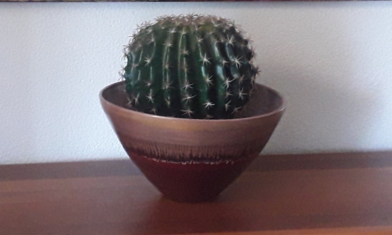 Gouden Bordeaux Bloempot voor Cactus - Stijlvol & Compact, Rond, Binnen, Ophalen of Verzenden, Zo goed als nieuw
