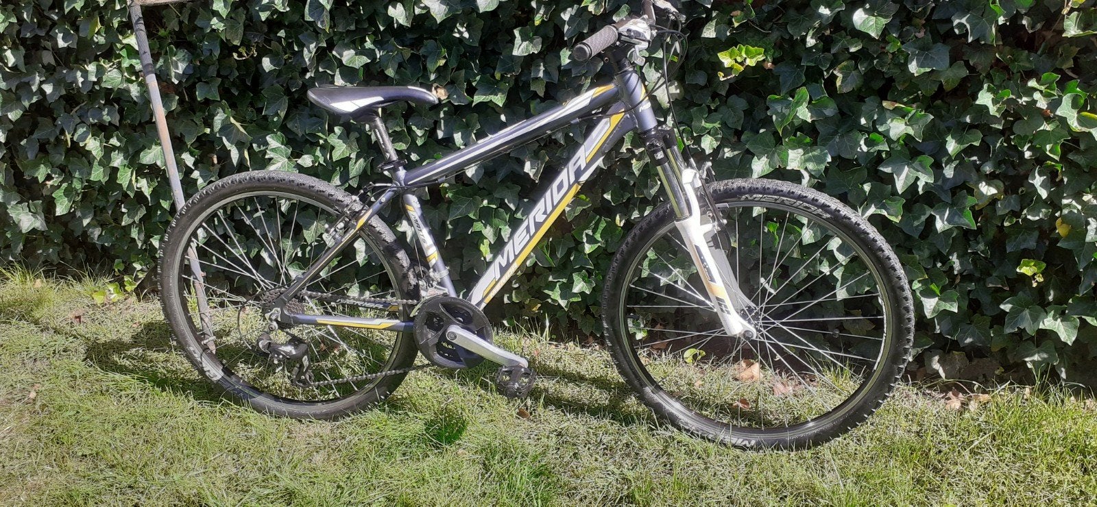 Mountainbike,Merida, Gebruikt, Hardtail, Velgrem, Merida