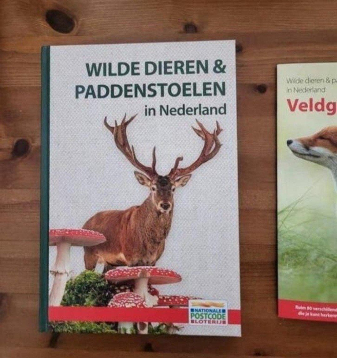 Wilde dieren en paddenstoelen + veldgids, Ophalen of Verzenden, Nieuw, Natuur algemeen