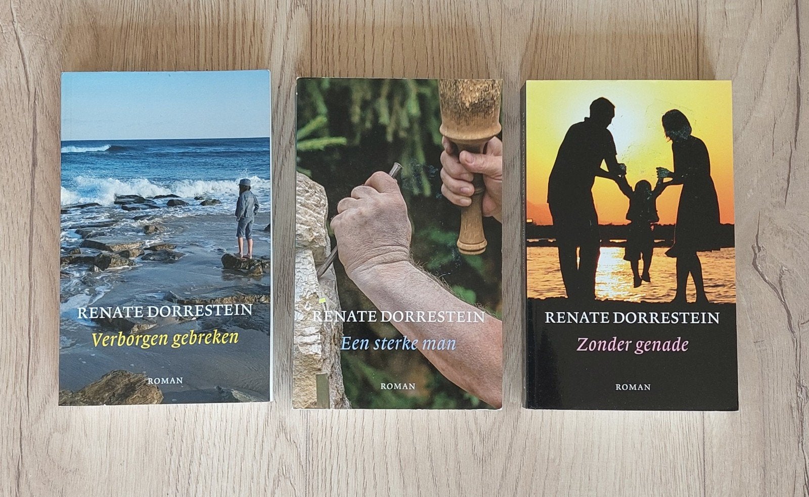 3 Boeken van Renate Dorrestein. Kadotip.

Verborgen gebreken, Ophalen of Verzenden, Gelezen, Renate Dorrestein, Nederland