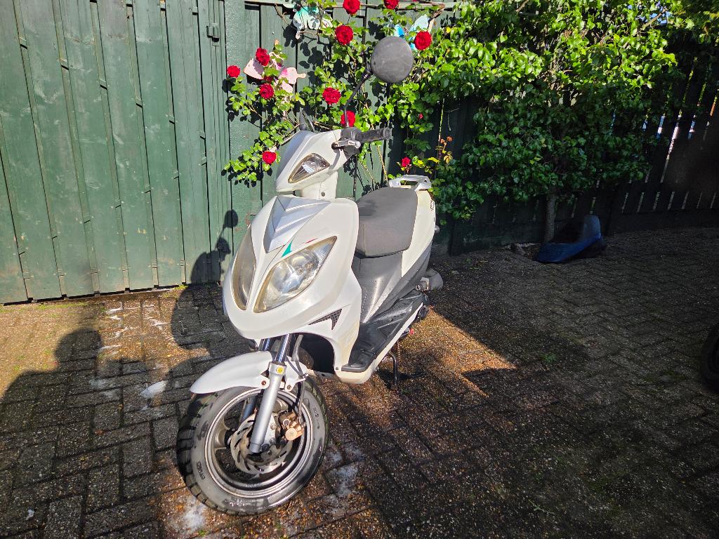 beeline veloce, Ophalen, Gebruikt, Beeline veloce