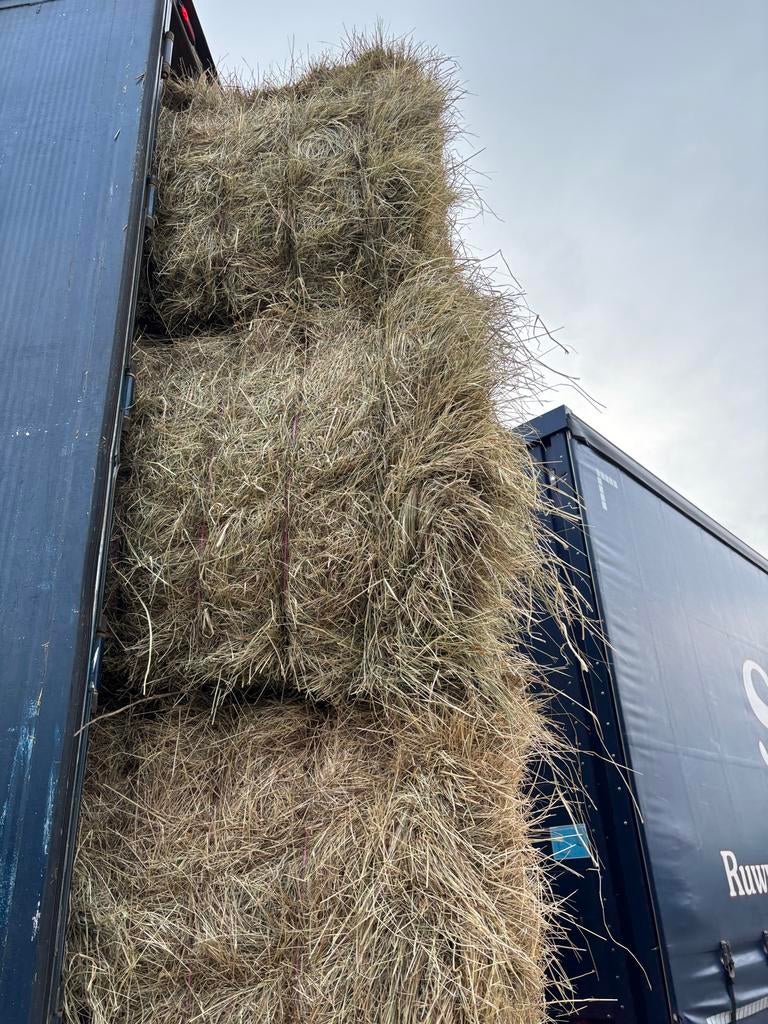 Kruidenhooi Paardenhooi Hooi grote balen Voordroog, Dieren en Toebehoren, Dierenvoeding, Ophalen, Overige soorten