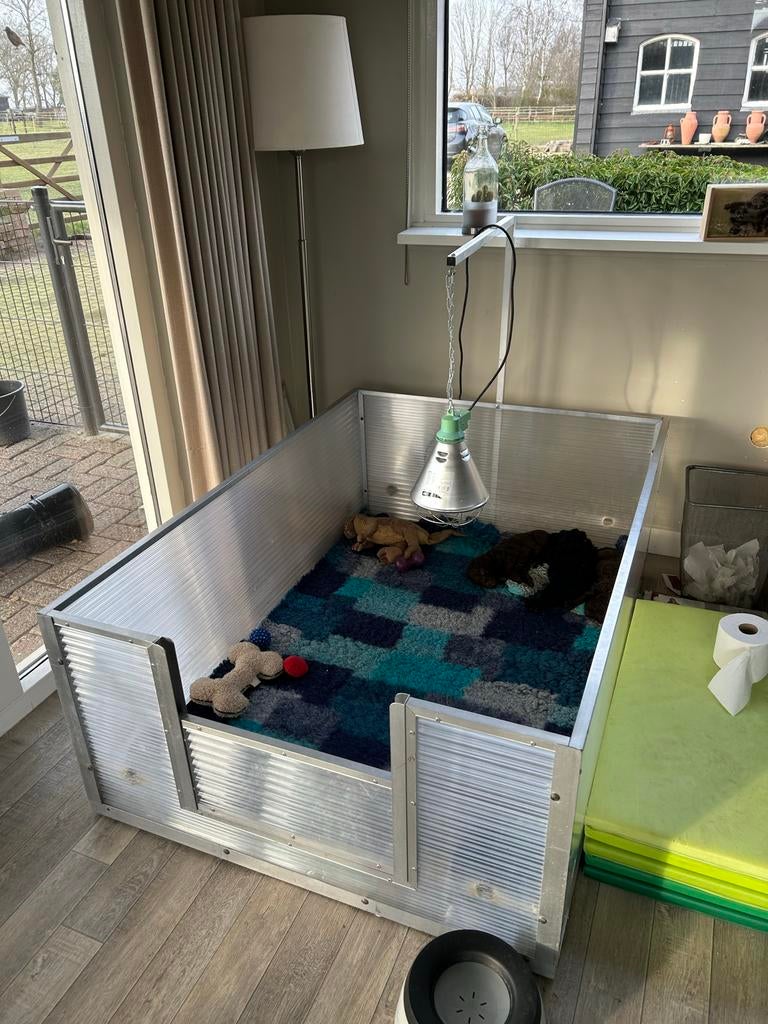 Werpkist van kunststof 100 x 150 x 60 cm., Dieren en Toebehoren, Hondenhokken, Ophalen, Hondenkennel, 110 cm of meer, Minder dan 65 cm