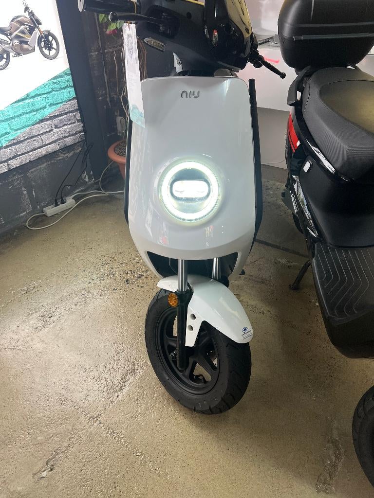 niu m+, Maximaal 45 km/u, Elektrisch, Zo goed als nieuw, 0 cc