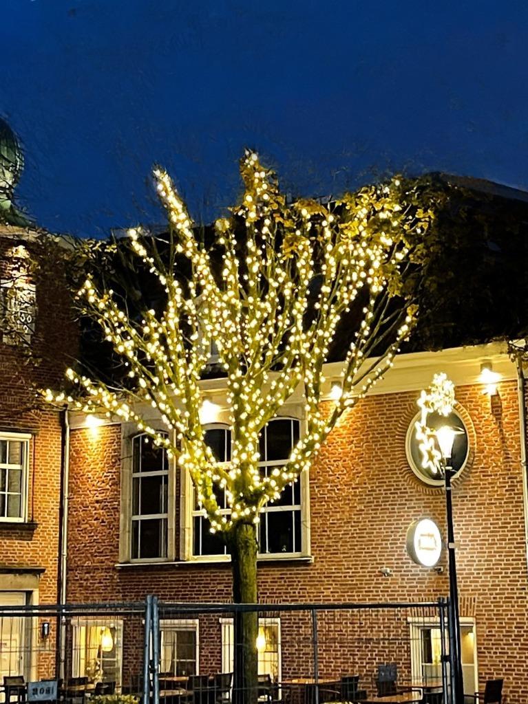 boomverlichting 31 Volt kerst, Diversen, Kerst, Ophalen of Verzenden, Nieuw