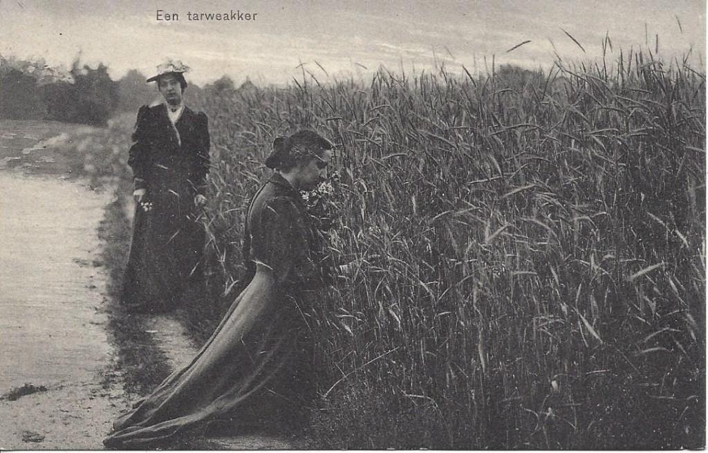 Een Tarwe akker, Volk, Boerenleven, Verzenden, Voor 1920, Ongelopen, Zuid-Holland