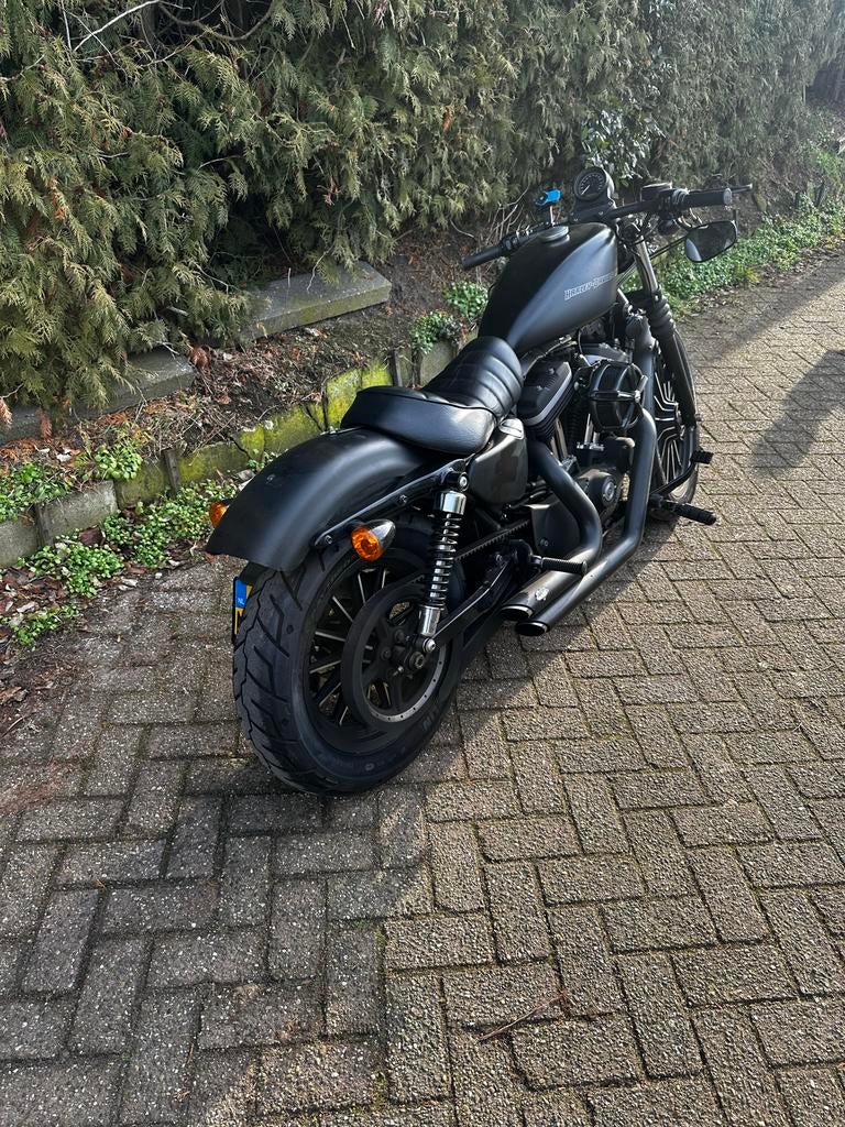 Harley-Davidson Sportster 883 - Stoere Bobber!, 2 cilinders, Sportuitlaat, Chopper, Particulier
