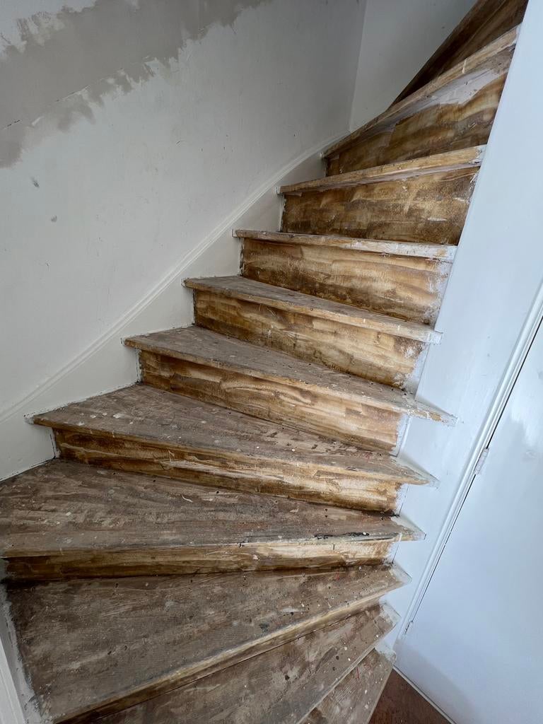 Trap stofferen met sisal natuur tapijt | Strak & duurzaam, Huis en Inrichting, Stoffering | Vloerbedekking, Zo goed als nieuw