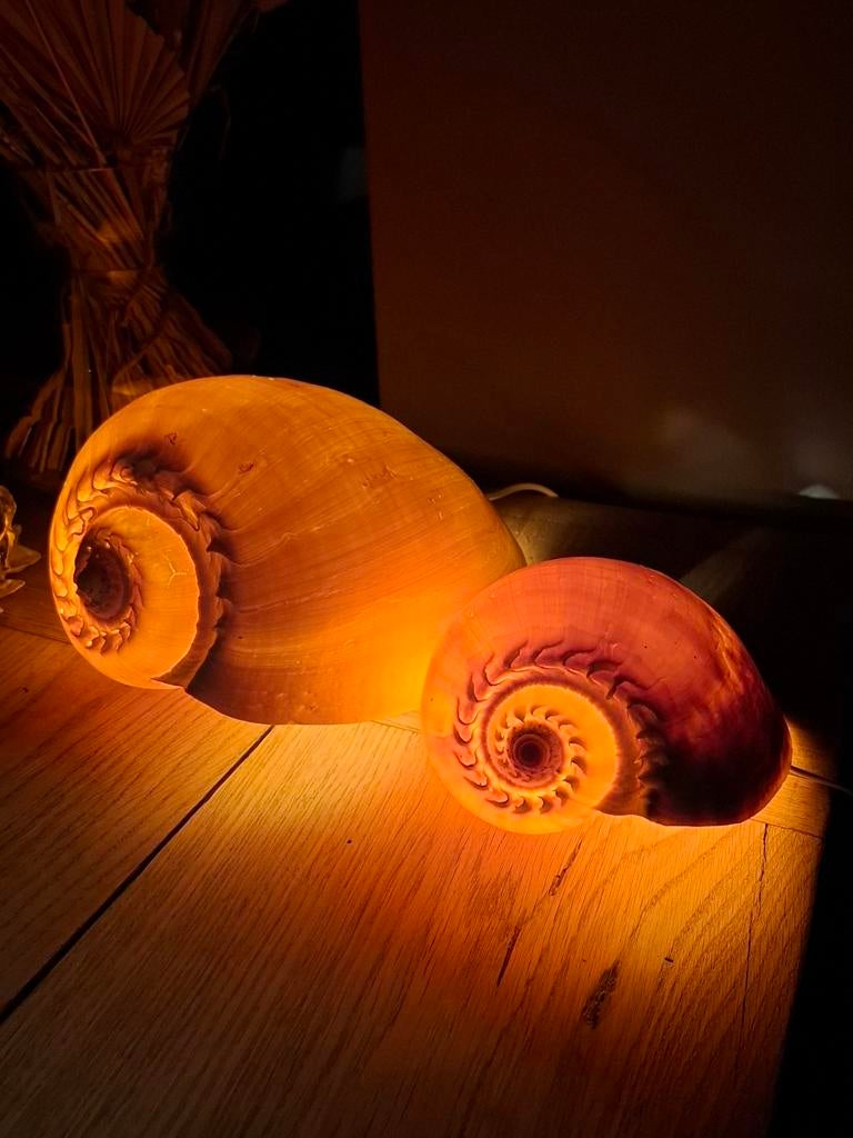 Schelpenlamp schelpen lamp sfeerlamp nachtlampje kinderlamp, Huis en Inrichting, G, Nieuw, Ophalen of Verzenden, D