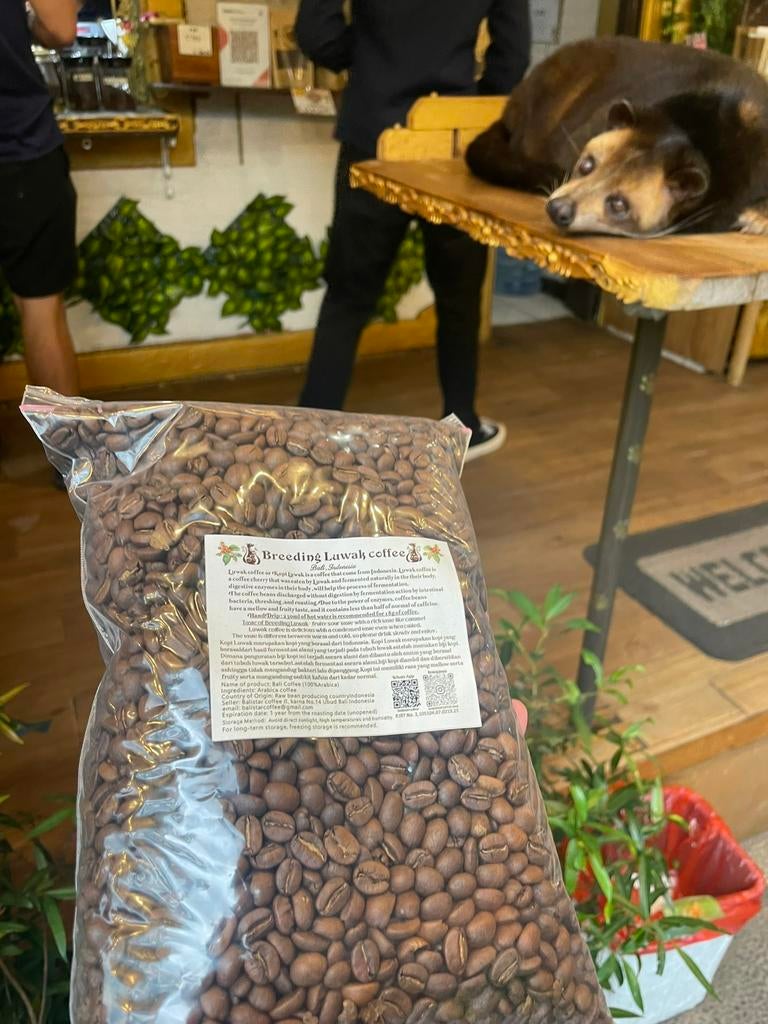 Luwak koffie bonen luxe product, Diversen, Levensmiddelen, Ophalen of Verzenden