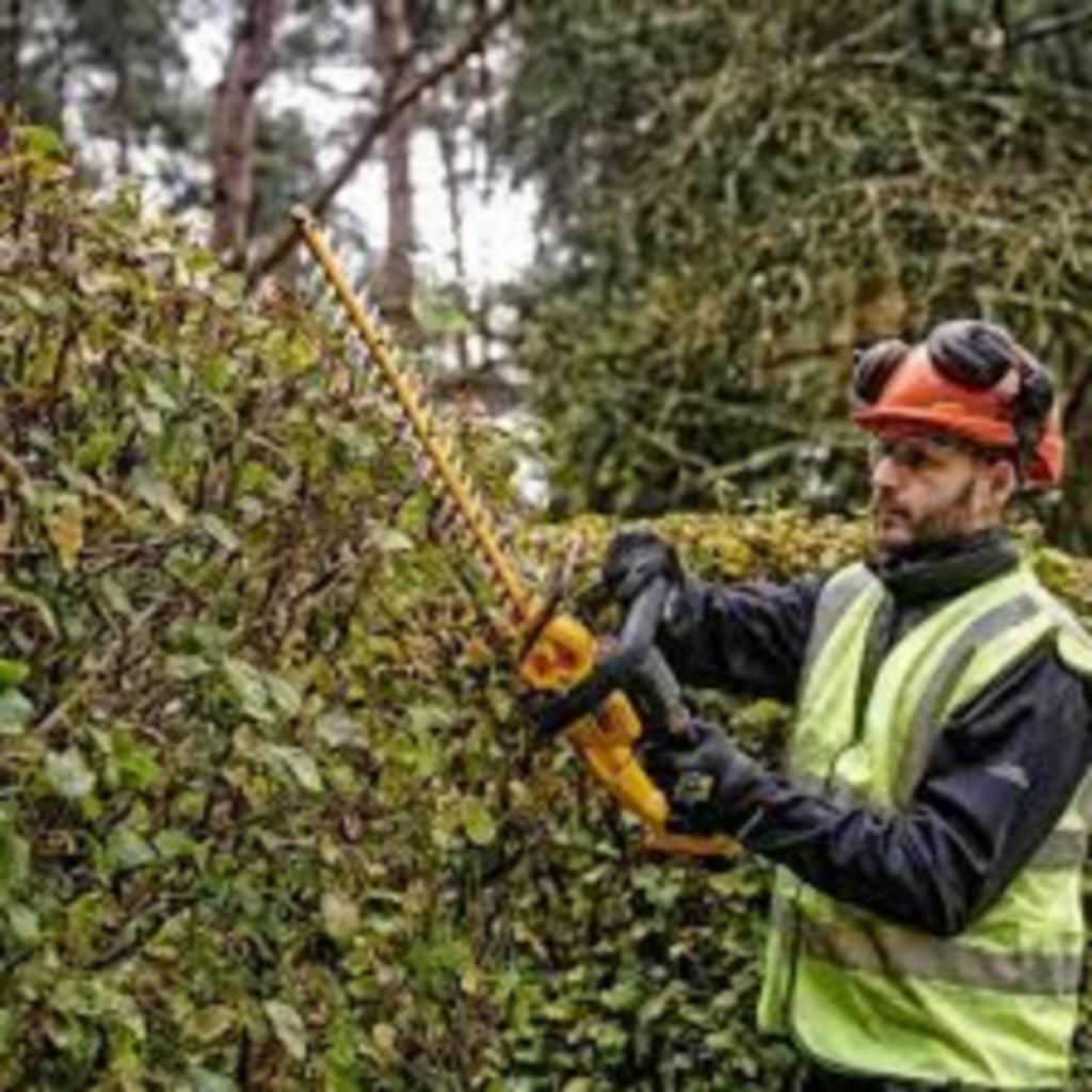 DeWALT DCMHT563N-XJ 18V XR Heggenschaar  zonder accu / lader, Ophalen of Verzenden, Nieuw, Accu, DeWALT