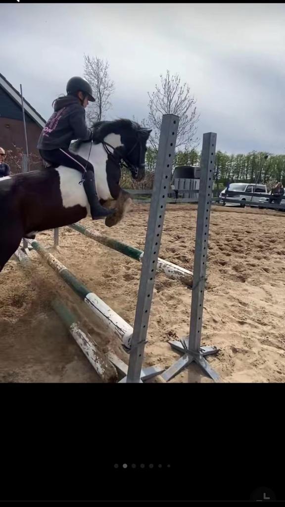 Bijrijd (spring)pony gezocht, Dieren en Toebehoren, Paarden en Pony's | Overige Paardenspullen, Ophalen, Springen