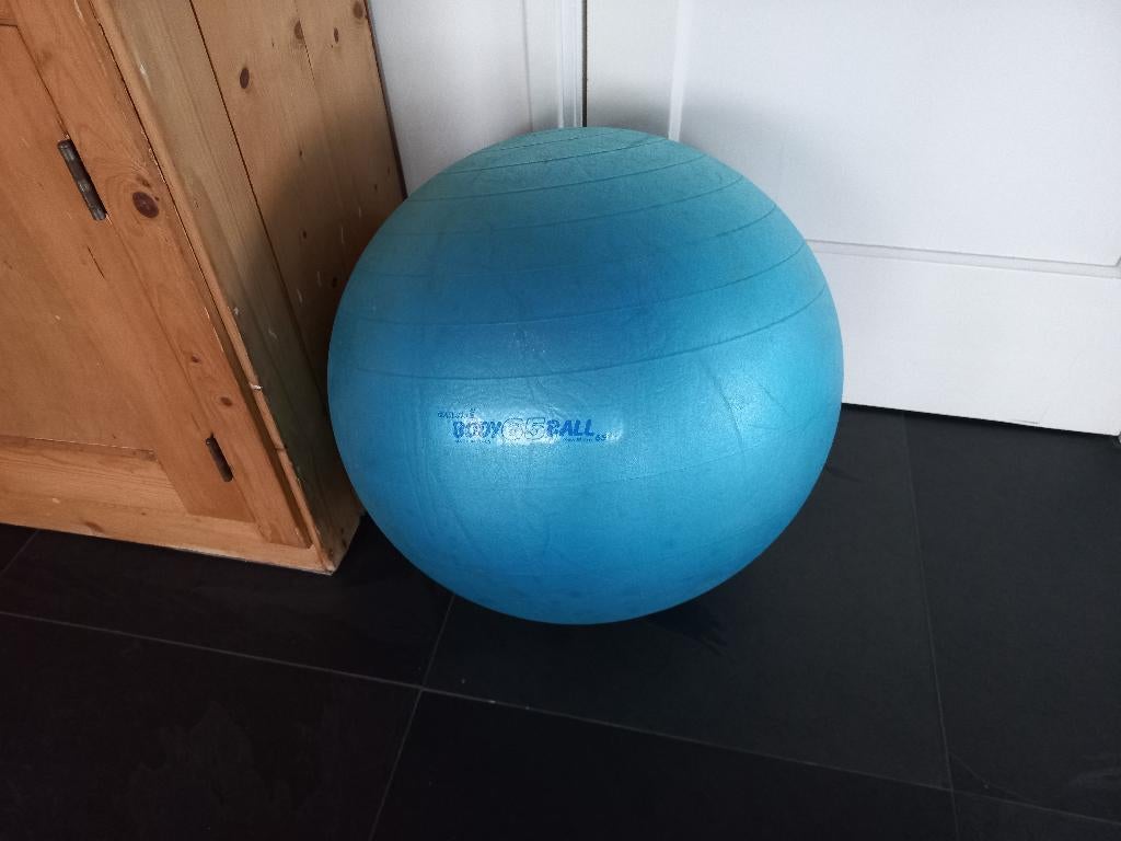 Zitbal, bodyball, fysiobal gymnic 65 cm, soft touch, Ophalen of Verzenden, Gebruikt, Benen, Fitnessbal