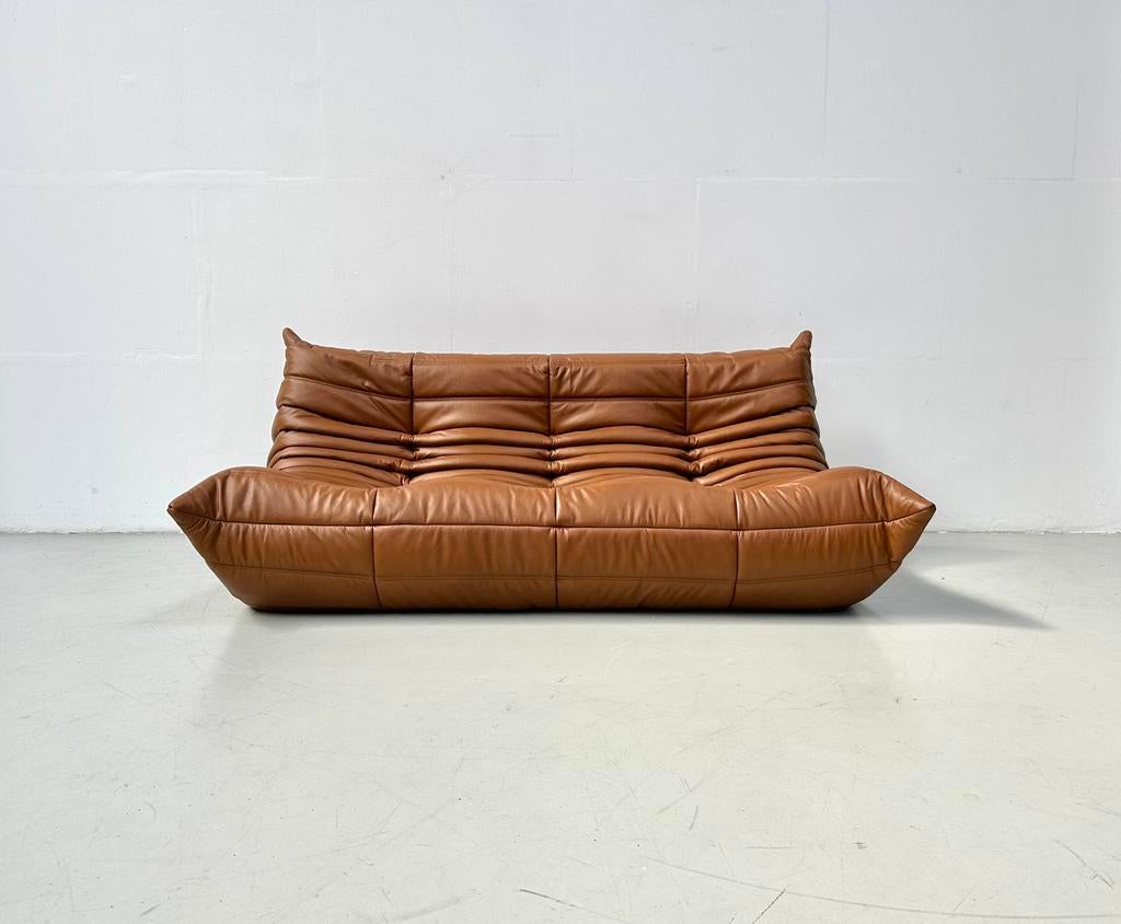 Togo Sofa in Dark Cognac by M. Ducaroy for Ligne Roset., Design, 150 tot 200 cm, Driepersoons, Ophalen of Verzenden