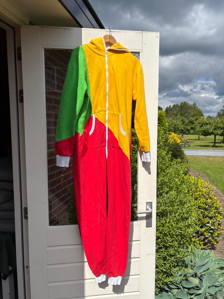 Uniseks Onesie Maat L - Kleurrijk en Comfortabel, Ophalen, Zo goed als nieuw