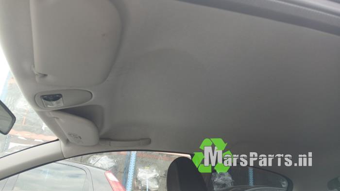 Hemelbekleding van een Peugeot 206 PLUS, Auto-onderdelen, Gebruikt, -, -, Ophalen of Verzenden